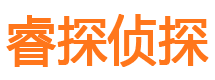 宁陵侦探公司